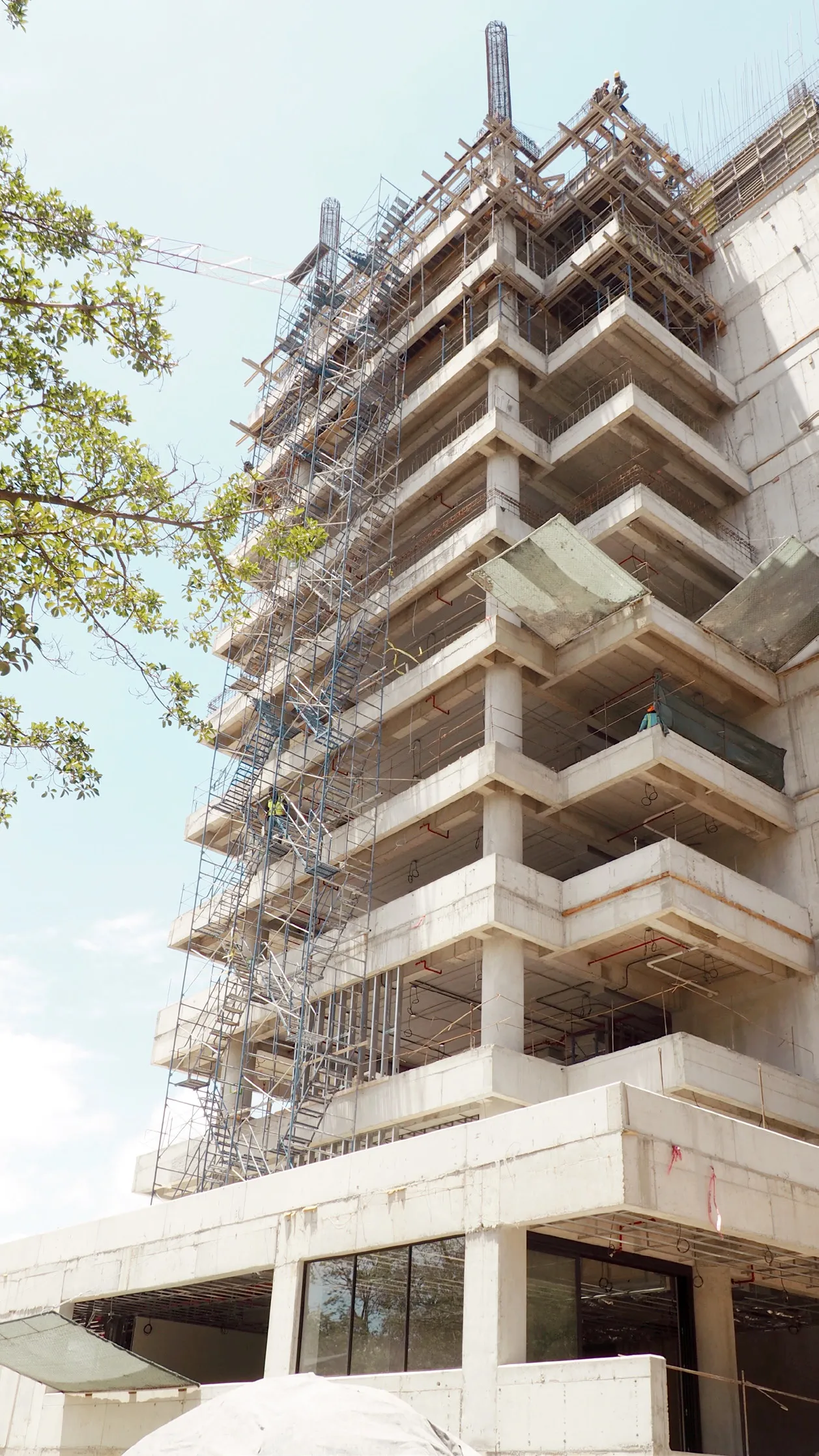 Looking up at a concrete building facade under construction, tree branches and blue sky in the foreground